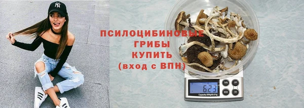 мяу мяу кристалл Арсеньев